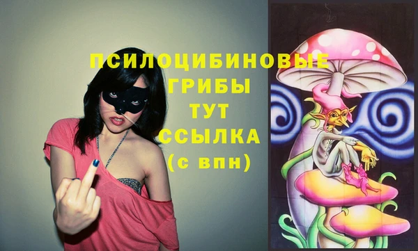 ешки Пролетарск