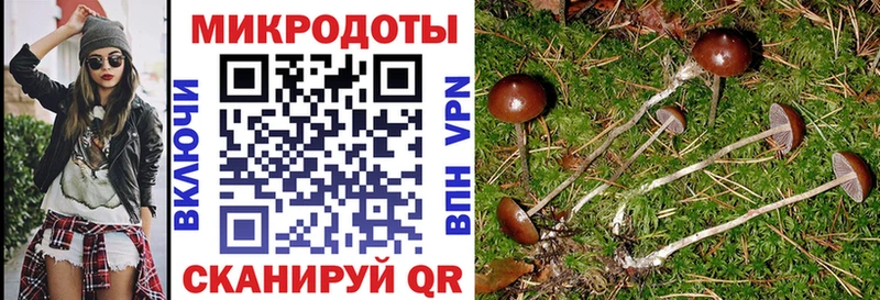 Галлюциногенные грибы GOLDEN TEACHER  Апатиты 