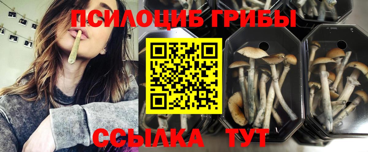 Псилоцибиновые грибы прущие грибы  Вход с VPN  Апатиты 