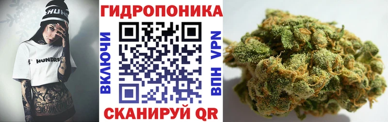 Конопля план  ОМГ ОМГ вход  Апатиты 